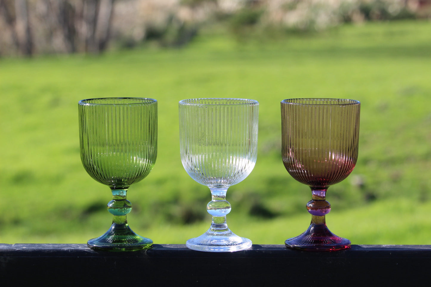 Timeless Sip - Olive